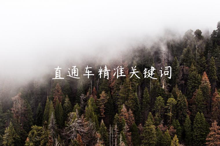 直通車精準(zhǔn)關(guān)鍵詞